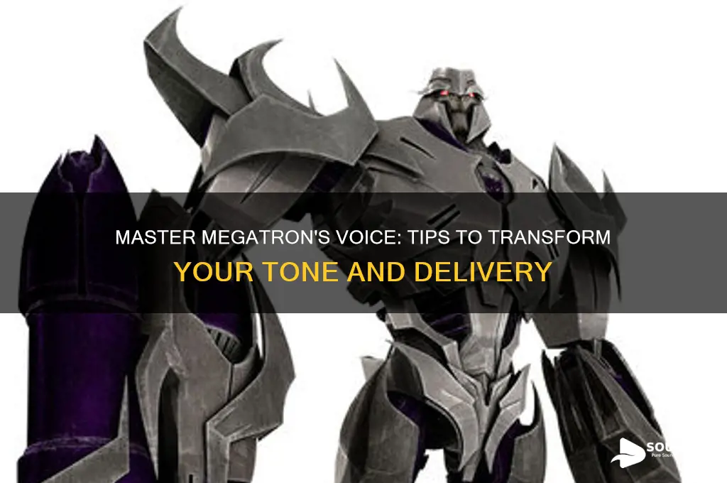 how to sound like megatron
