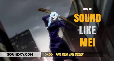 Master Mei's Voice: Techniques to Sound Like Mei Authentically
