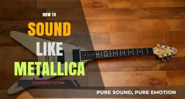 Mastering Metallica's Sound: Techniques for Guitar, Vocals, and Production
