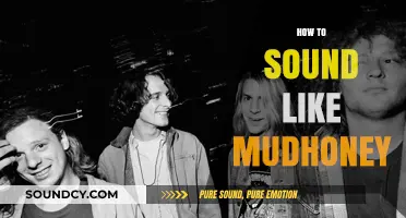 Mastering Grunge: Tips to Emulate Mudhoney's Iconic Sound and Style