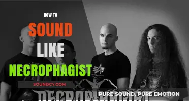 Mastering Necrophagist's Brutal Sound: Techniques for Extreme Metal Guitarists