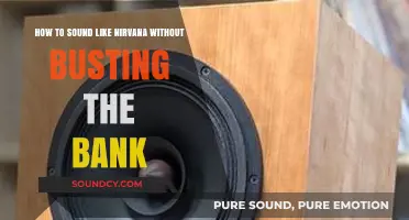 Achieving Nirvana's Sound on a Budget: Tips and Tricks