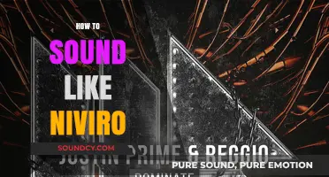 Mastering Niviro's Unique Sound: Techniques and Tips for Producers