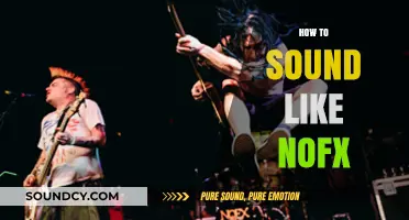 Mastering NOFX's Signature Sound: Tips for Punk Rock Vocal Style