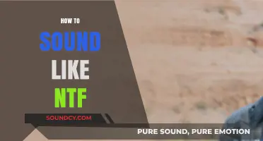 Mastering the NTF Sound: Techniques and Tips for Vocal Transformation