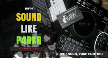 Mastering P4rkr's Unique Vocal Style: Tips and Techniques to Sound Like Him