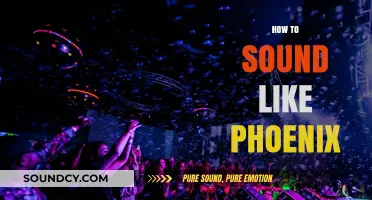 Mastering Phoenix's Signature Sound: Techniques for Vocals and Production