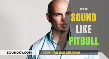 Master Pitbull's Signature Rap Flow: Tips for His Unique Sound