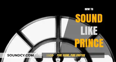 Master Prince's Unique Vocal Style: Techniques for His Signature Sound