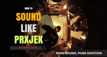 Mastering Prxjek’s Unique Vocal Style: Tips and Techniques to Sound Like Him