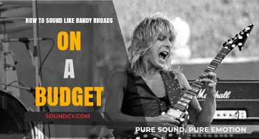Unlocking Randy Rhoads' Tone: Budget-Friendly Guitar Tips