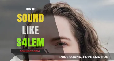 Mastering S4lem's Unique Vocal Style: Tips and Techniques to Sound Like Him