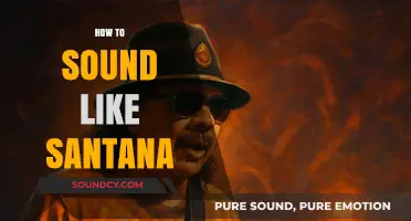 Master Santana's Signature Guitar Tone: Techniques, Gear, and Style Guide
