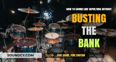 Achieving Sepultura's Sound on a Budget: Tips and Tricks