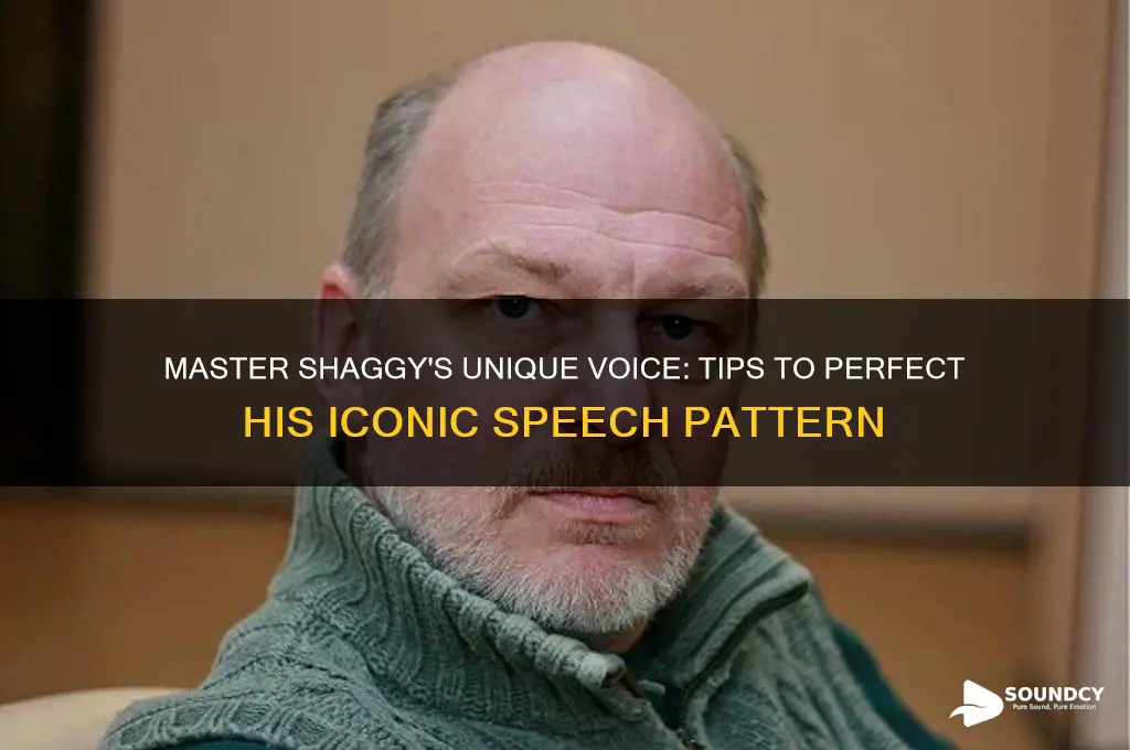 how to sound like shaggy