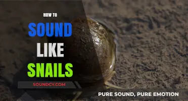 Mastering Snail Sounds: Techniques to Mimic Their Unique Communication