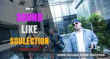 Mastering Soulection's Signature Sound: Tips for Producers and DJs