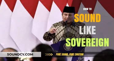 Mastering Sovereign Speech: Elevate Your Voice with Authority and Grace