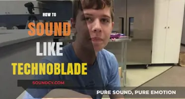 Mastering Technoblade's Voice: Tips to Sound Like the Legendary Streamer