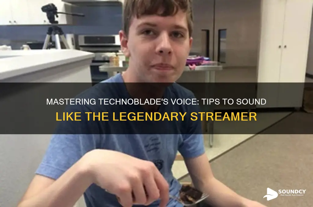 how to sound like technoblade