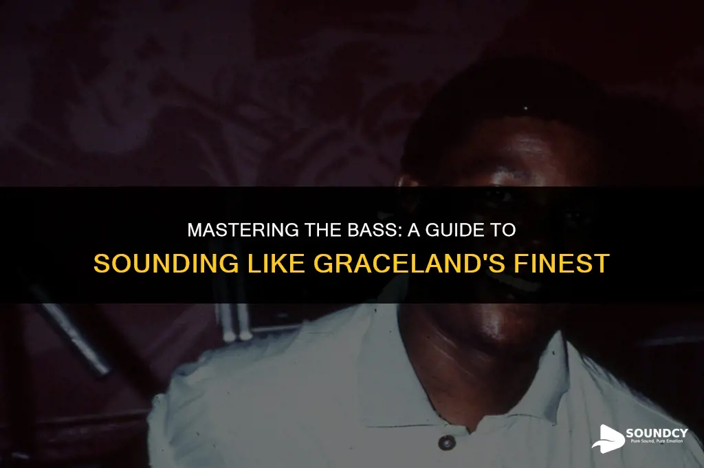 how to sound like the bassist on graceland album