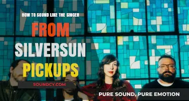 Mastering the Melodic Growl: A Guide to Silversun Pickups' Vocal Style