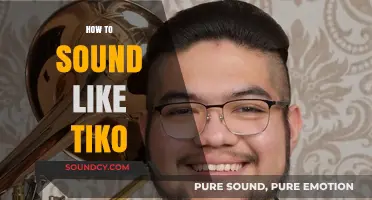 Master Tiko's Unique Voice: Tips to Sound Like a Pro