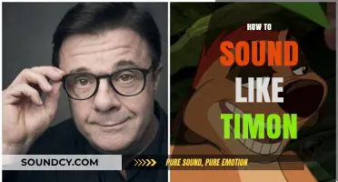 Master Timon's Unique Voice: Tips to Perfect His Iconic Tone