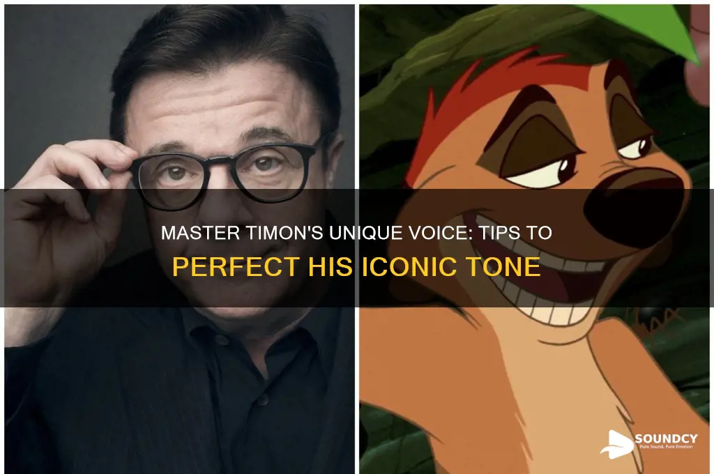 how to sound like timon