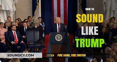 Mastering Trump's Rhetoric: A Guide to Emulating His Distinctive Speech Style