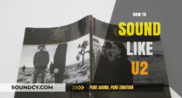 Mastering U2's Signature Sound: Techniques for Vocals and Guitar Effects