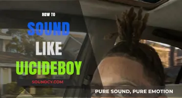 Mastering the Gritty Flow: How to Sound Like $UICIDEBOY$