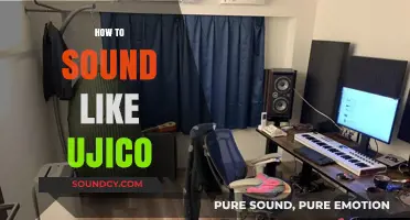 Mastering Ujico's Unique Sound: Techniques and Tips for Producers