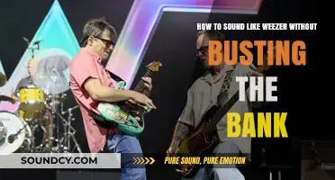 Budget-Friendly Weezer Sound: Tips for Indie Musicians