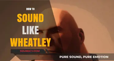 Master Wheatley's Unique Voice: Tips for Perfecting His Quirky Tone