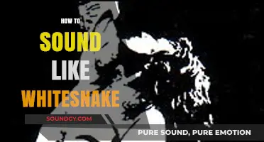 Mastering the Iconic Whitesnake Sound: Techniques for Powerful Vocals and Tone