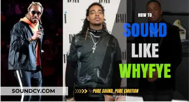 Mastering the Whyfye Sound: Tips and Techniques to Emulate Their Style