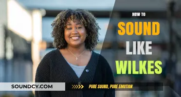 Mastering the Art of Speaking Like Wilkes: Tips and Techniques