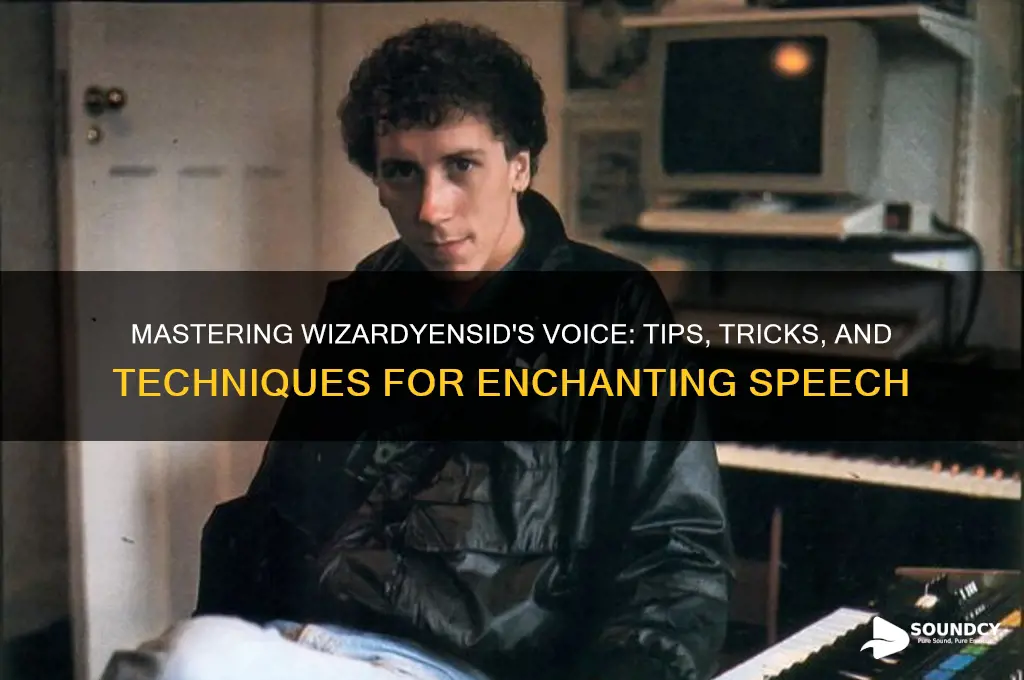 how to sound like wizardyensid