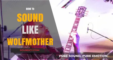Mastering Wolfmother's Signature Sound: Tips for Vocals and Guitar Tone
