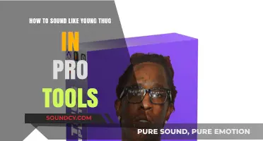 Mastering the Art of Young Thug's Sound in Pro Tools