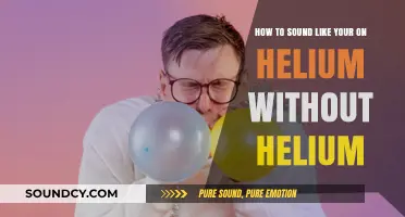 Elevate Your Voice: The Art of Helium-Like Speech Without the Gas