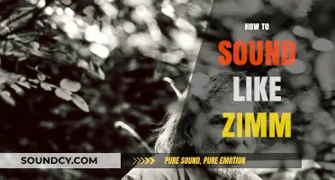 Mastering Zimm's Unique Vocal Style: Tips and Techniques to Sound Like Him