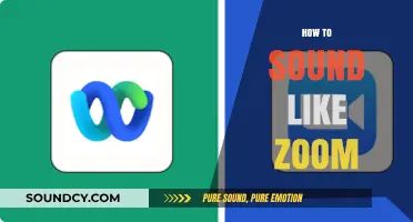 Mastering the Zoom Voice: Techniques to Sound Like a Pro
