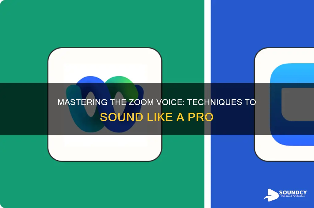 how to sound like zoom