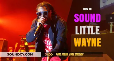Mastering Lil Wayne's Flow: Tips to Emulate His Unique Rap Style