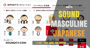 Mastering Masculine Japanese Speech: Tone, Vocabulary, and Cultural Nuances
