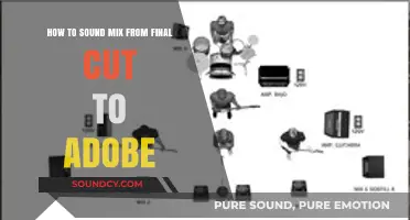 Seamless Sound Mixing: Final Cut to Adobe Workflow