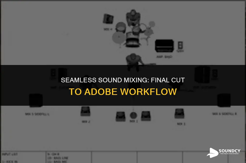 how to sound mix from final cut to adobe