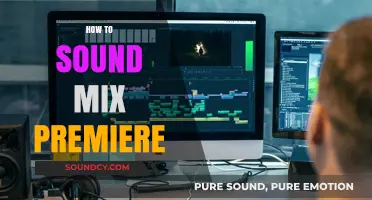 Mastering Audio: Essential Tips for Sound Mixing in Premiere Pro